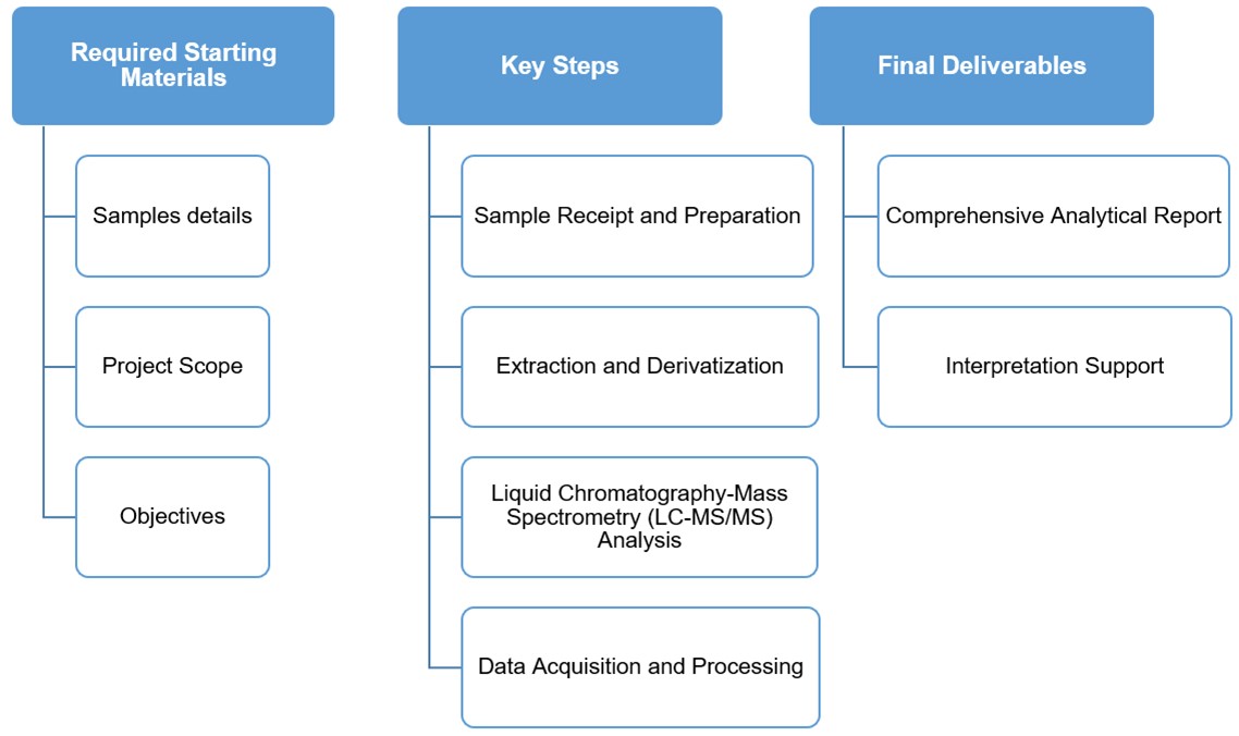 Workflow for TMAO quantitative analysis. (Creative Biolabs Original)