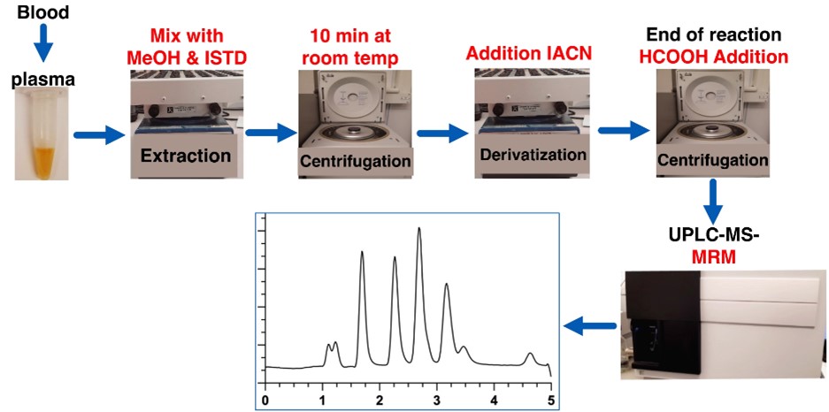 Fig. 1 Analytical solutions for TMA, TMAO, and related metabolites. (Hefni & Witthöft, 2025)