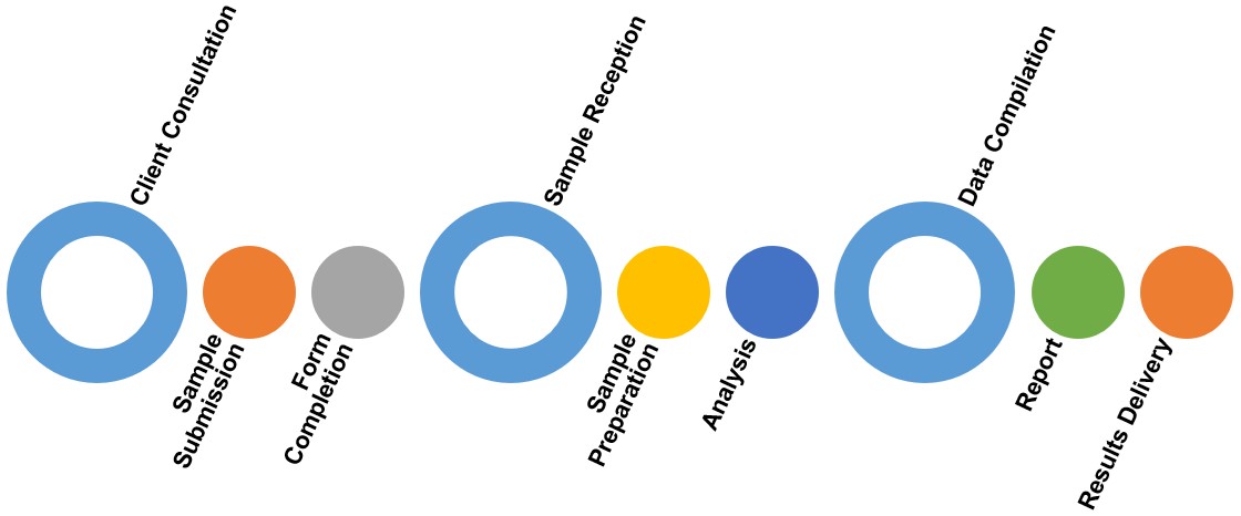 The entire process of AA quantitative analysis services. (Creative Biolabs Original)