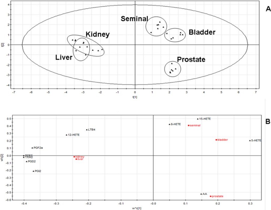 Fig. 1 UHPLC-MS/MS determination of AA and its metabolites. (Bian, et al., 2016)