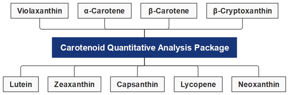 Diverse carotenoid analysis content. (Creative Biolabs Original)