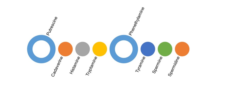 Fig. 1 Diverse BA analysis services. (Creative Biolabs Original)