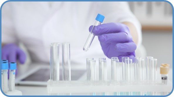 (Creative Biolabs Authorized)