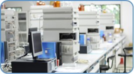 (Creative Biolabs Authorized)