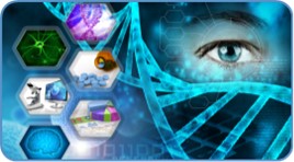 (Creative Biolabs Authorized)