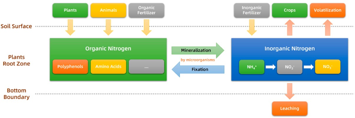 Fig. 1 Dynamic changes of nitrogen in soil. (Liu, et al., 2023)