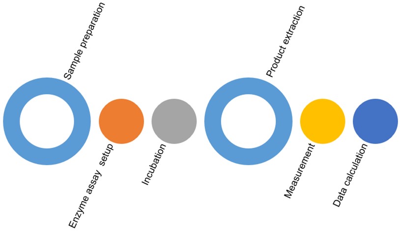 Fig. 1 Comprehensive enzyme activity analysis services. (Creative Biolabs Original)