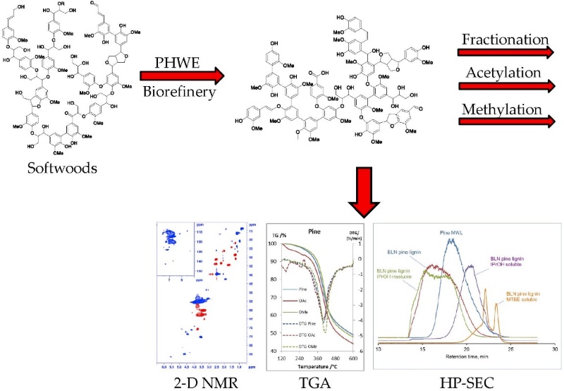 Fig.1 Analysis strategy for lignin and its derivatives.