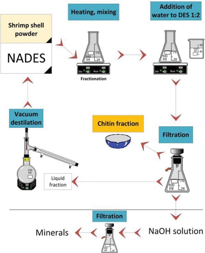 Fig.1 Strategies for isolating chitin from shrimp shells.