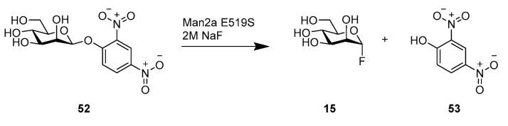 Fig.1 Chemical rescue of Man2a E519S for in situ alpha-ManF (15) production. (OA Literature)