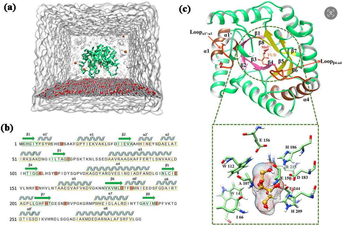 Fig. 1. Overview of DPE initial structure. (OA Literature)