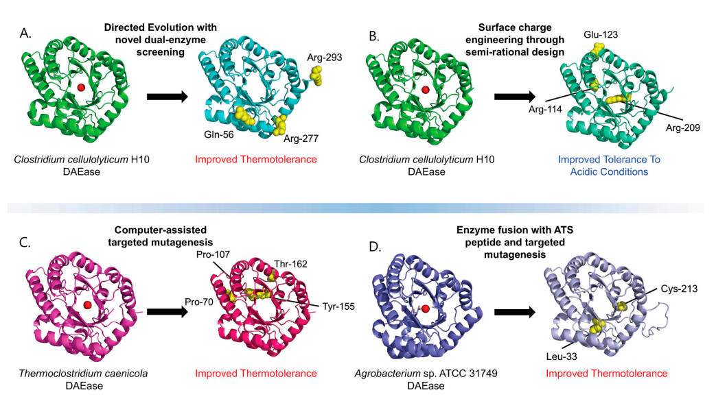 Fig. 1. Summary of engineering outcomes for diverse DAEase variants. (OA Literature)
