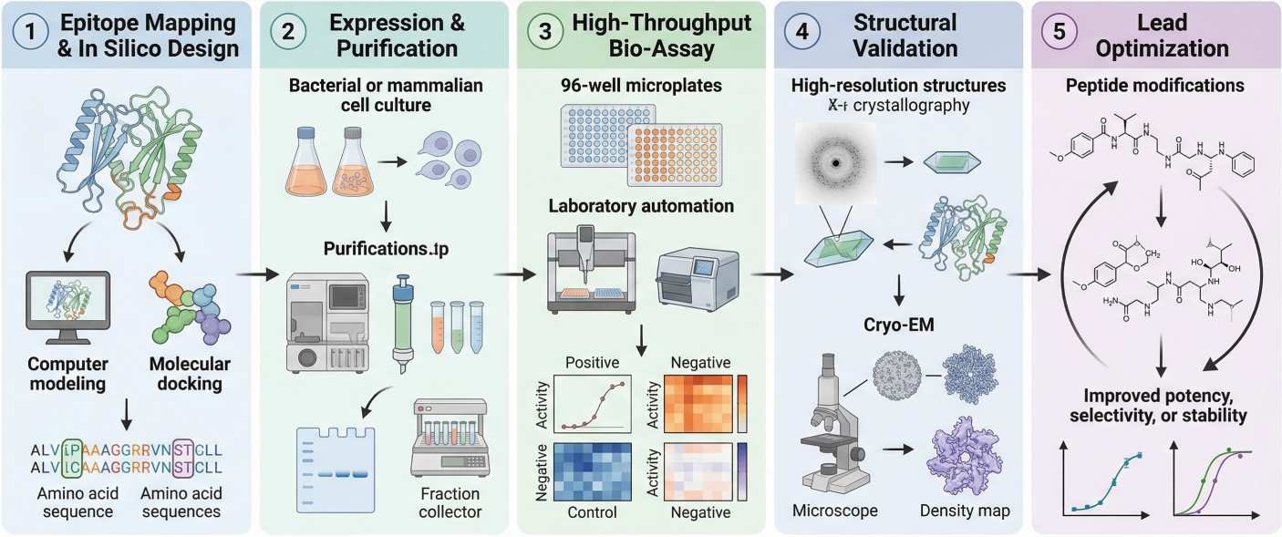 Fig. 2. Neuraminidase development workflow. (Creative Biolabs AI)