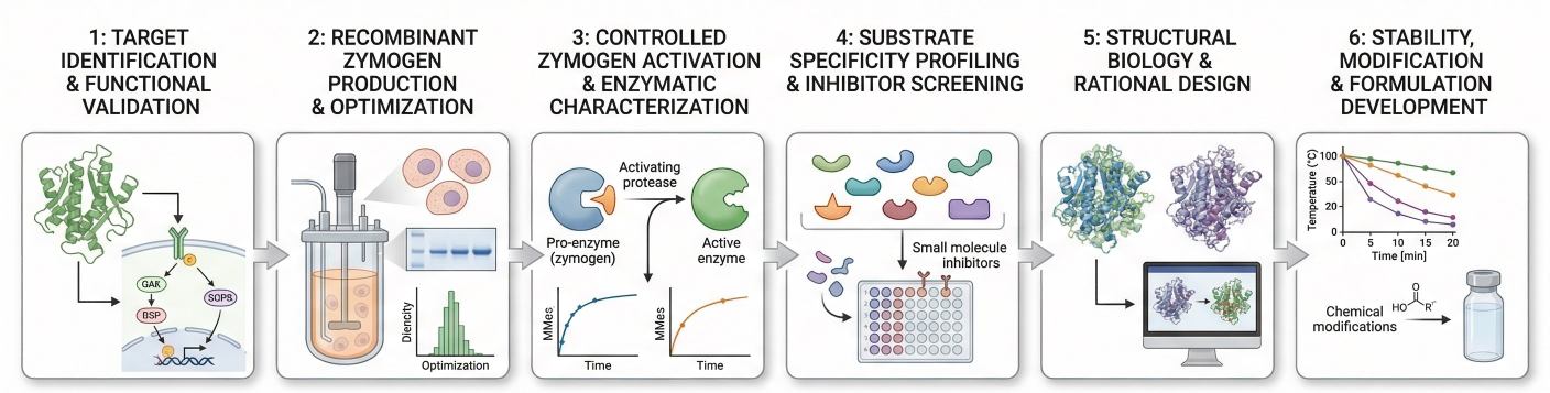 Fig. 2. MMP development workflow. (Creative Biolabs AI)
