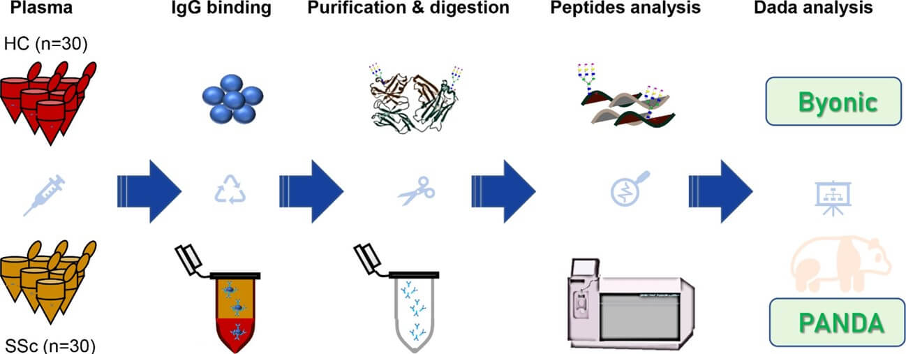 Fig. 1. Analytical workflow for plasma IgG glycosylation in SSc disease. (OA Literature)
