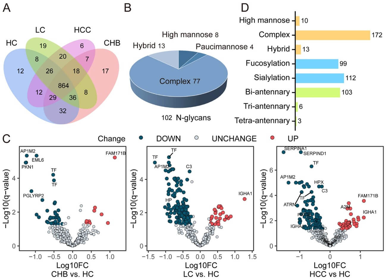 Fig. 2. Quantitative glycoproteomic analysis of HC, CHB, LC, and HBV-HCC serum samples. (OA Literature)