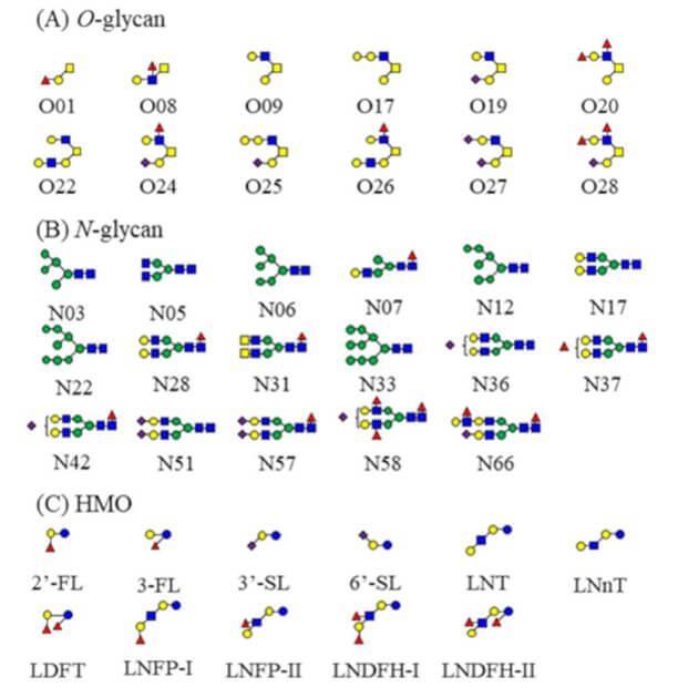 Fig. 1. Structures of O/N-glycans and HMOs. (OA Literature)