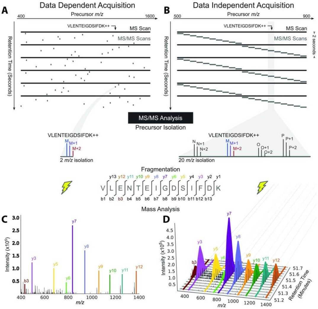 Fig. 1. MS/MS analysis of DDA and DIA. (OA Literature)