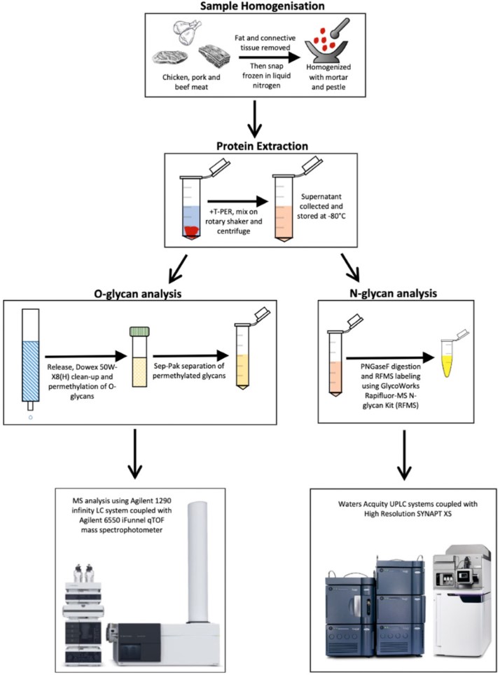 Glycomics-based analysis process of meat samples. (OA Literature)