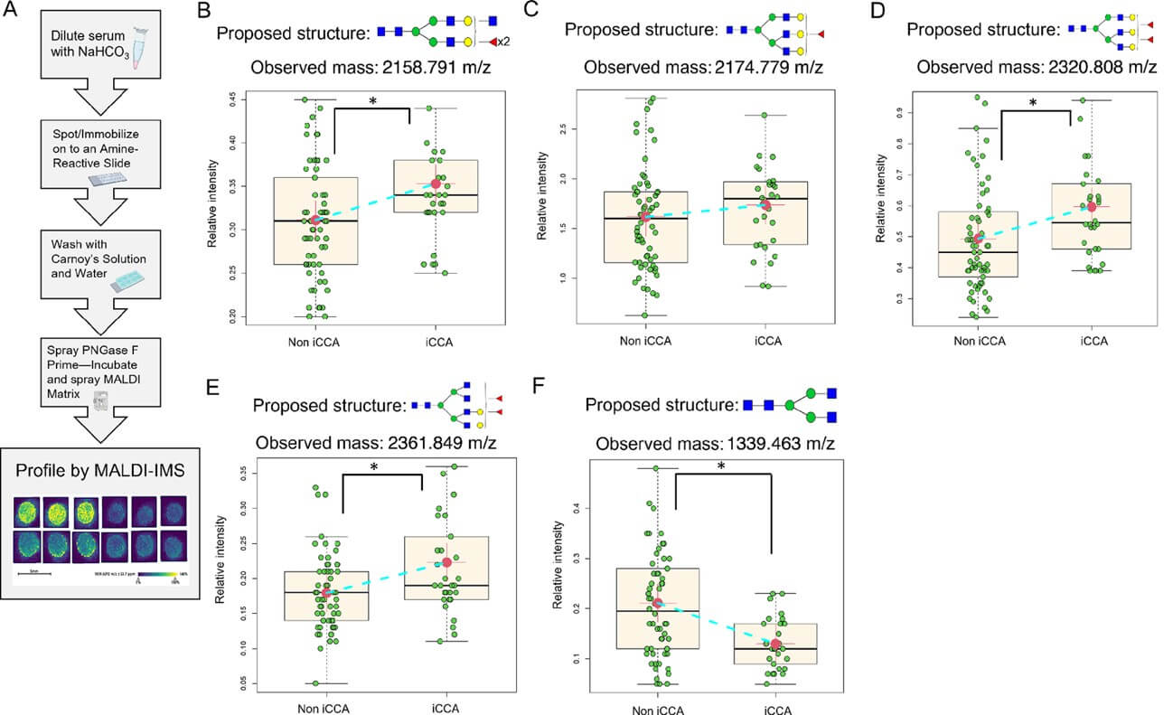 Fig. 2. Protocol for N-linked glycosylation analysis in serum samples. (OA Literature)