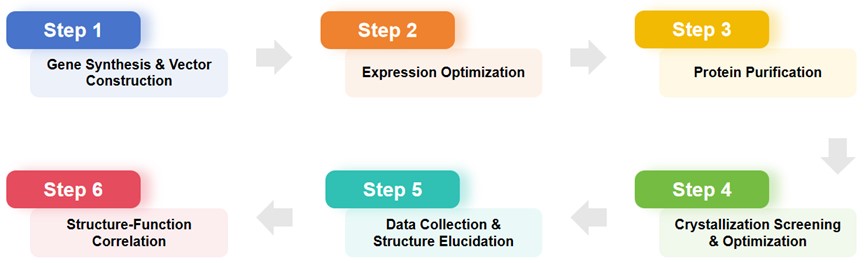 Specialized solutions for glycoprotein crystallography. (Creative Biolabs Original)