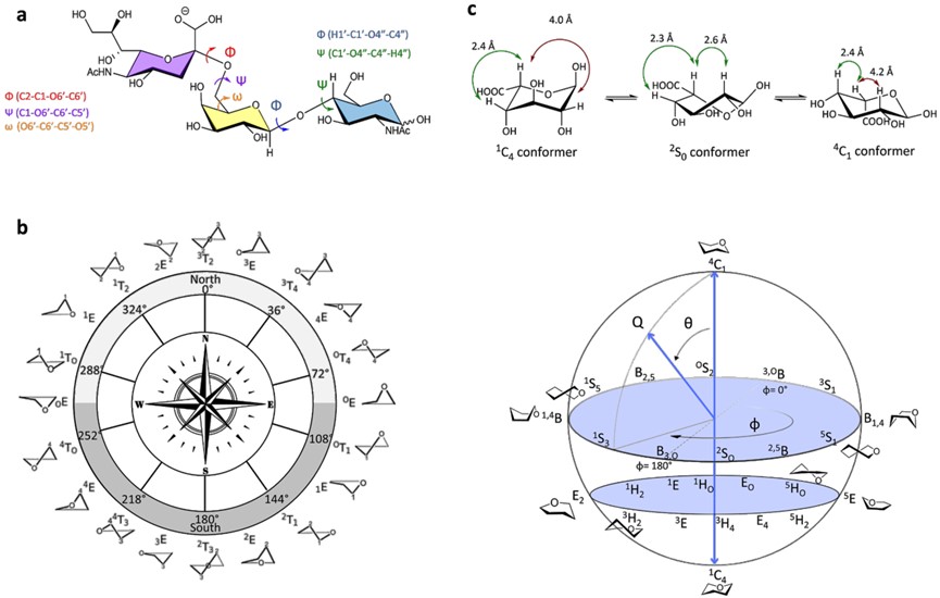 Carbohydrate conformational variability. (OA Literature)