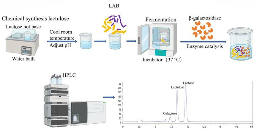 Fig.2. The production process of lactulose. (OA Literature)