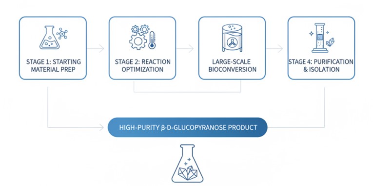Fig. 1 β-D-glucopyranose production workflow. (Creative Biolabs AI)