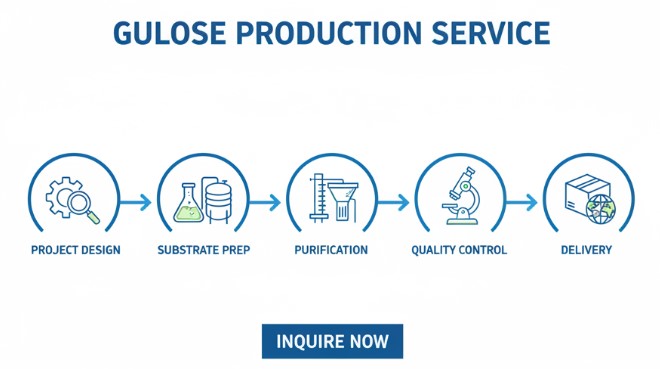 The production process of gulose. (Creative Biolabs AI)