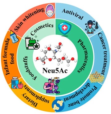 Fig. 1 Applications of N-acetylneuraminic acid. (OA Literature)
