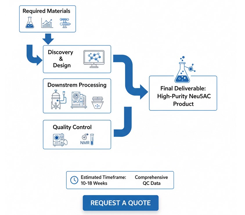 Fig. 2 Neu5Ac production services with a complete workflow. (Creative Biolabs AI)