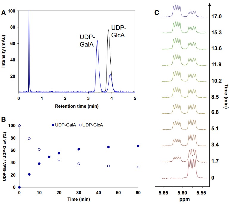 Fig. 2. Analysis of the C4-H bond activation in UDP-GlcA 4-epimerase. (OA Literature)