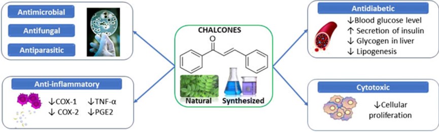 Fig. 1. Important pharmacological properties of chalcones. (OA Literature)