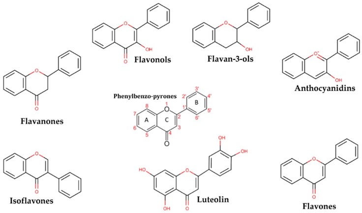 Fig. 1 Common structural formulas of luteolin-type compounds. (OA Literature)