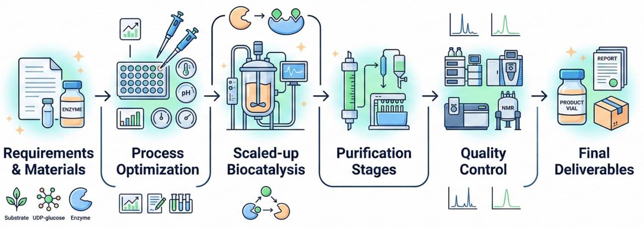 Fig.2 The production workflow of L7G. (Creative Biolabs AI)