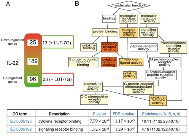 Fig. 3 Inflammatory gene expression regulated by L7G and analysis. (OA Literature)