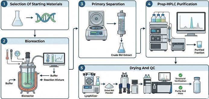 Fig.3 Production workflow of (20S)-ginsenoside Rb1. (Creative Biolabs AI)