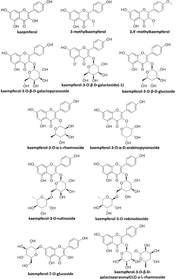 Fig.2 Structures of common kaempferol derivatives. (OA Literature)