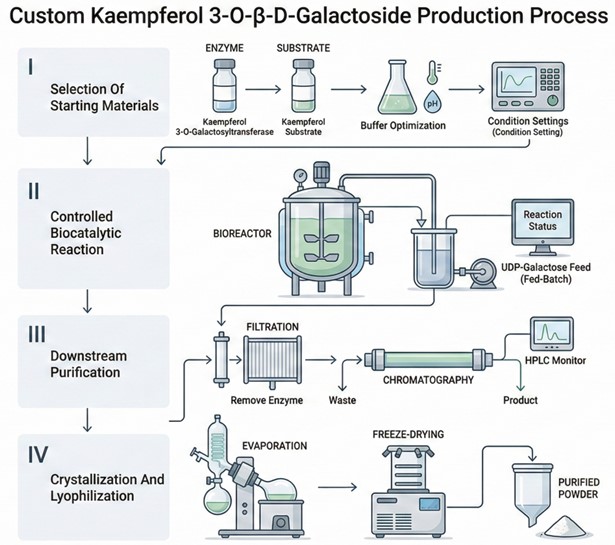 Professional Kaempferol 3-O-β-D-Galactoside production solutions. (Creative Biolabs AI)