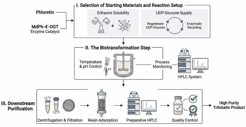 Fig.2 Detailed production step for trilobatin. (Creative Biolabs AI)