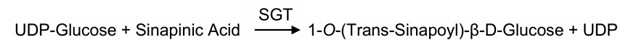 The mechanism of enzyme-catalyzed reactions. (Creative Biolabs Original)