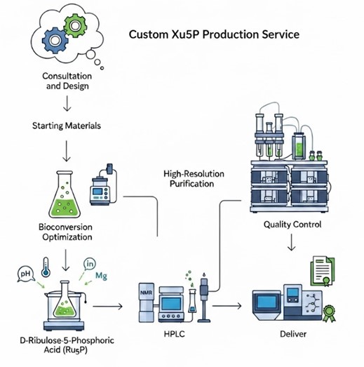 Production workflow for Xu5P. (Creative Biolabs AI)