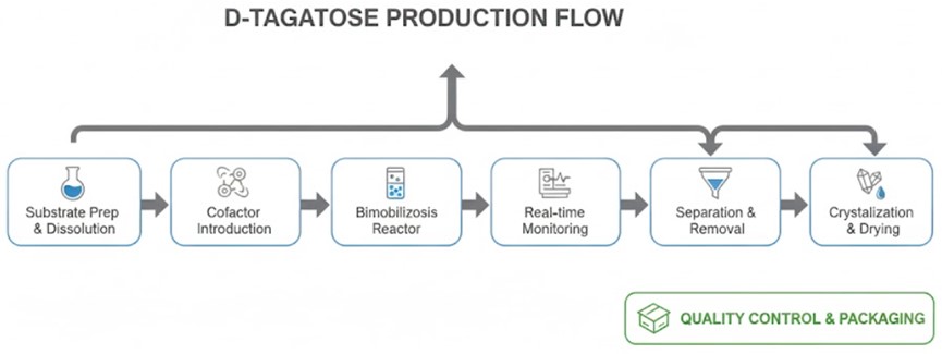 Mature D-tagatose production service. (Creative Biolabs AI)