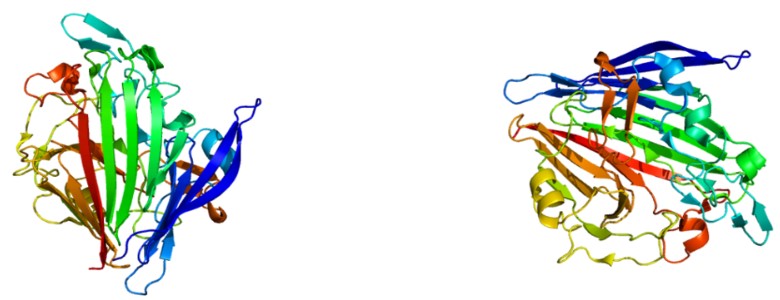 Fig. 1 Structure of the GALM. (From wiki)