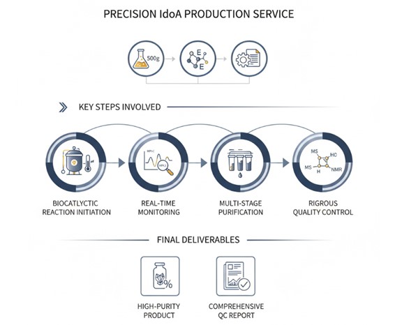 A one-stop production process for IdoA. (Creative Biolabs AI)