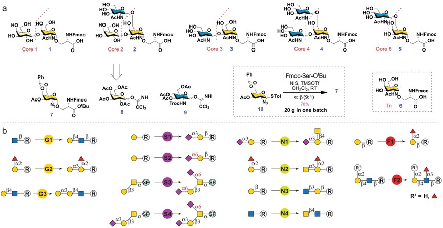 Fig.2 Retrosynthetic analysis of O-GalNAc glycans. (OA Literature)