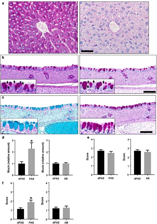 Fig.1 Tissue sectioning and scoring analysis using various staining techniques.