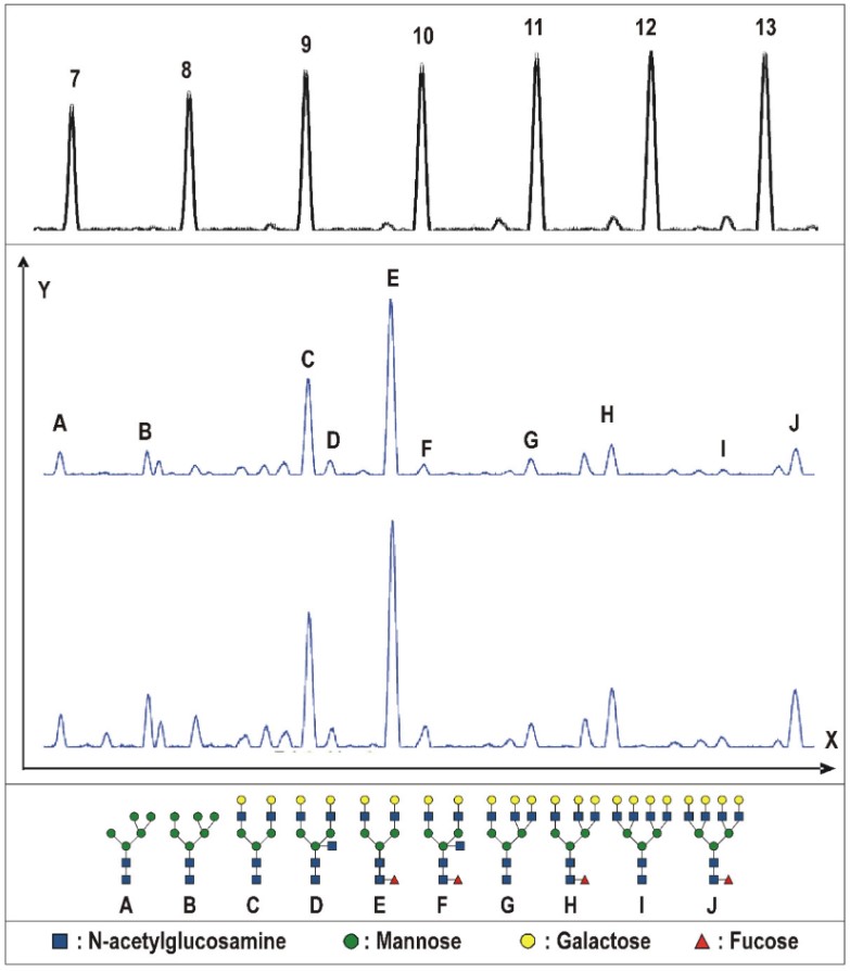 Fig. 2 N-Glycan profile of tissue prostate proteins. (OA Literature)