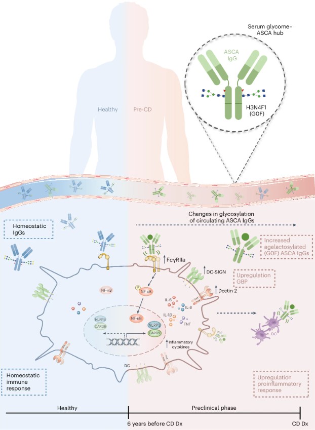 Fig. 1. Altered glycosylation signature in Crohn's disease. (OA Literature)