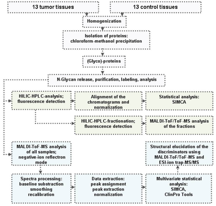 Fig. 1. Conceptual diagram of N-glycosylation profiling in CRC and normal tissues. (OA Literature)